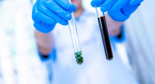 konopie analiza laboratorium profil kanabinoidy terpeny thc cbd analiza konopi